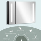 Lumen LED Mirrored Bathroom Cabinet with USB — Black
