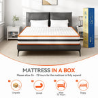 Restwell Orthopaedic Hybrid Mattress — Memory Foam & Pocket Spring